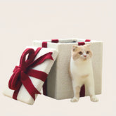 Gift Box Cat House