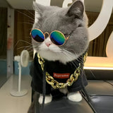 Sunglasses + Necklace