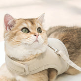 Cat Harness
