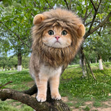 Lion Mane