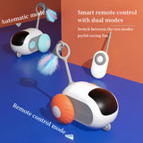 Remote Cat Car