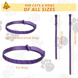 3Pcs Calming Collar