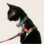 Cat Leash