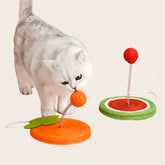 Fruit Scratcher Cat Toy