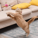 Cat Collar Toy
