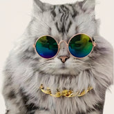 Sunglasses + Necklace