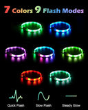 LED Collar for Dogs