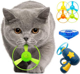 Cat Frisbee Launcher Toy