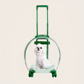 Cat Suitcase Carrier Round