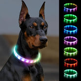 LED Collar for Dogs