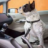 3-in-1 Pets Seatbelt