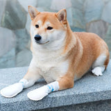 Disposable Pet Shoes