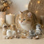 A collection of Larleaf cat-shaped clear keychains designed for pet hair storage. These memorial containers allow pet owners to keep a lock of fur as a souvenir. Features cute cat faces and golden wire loops for hanging.