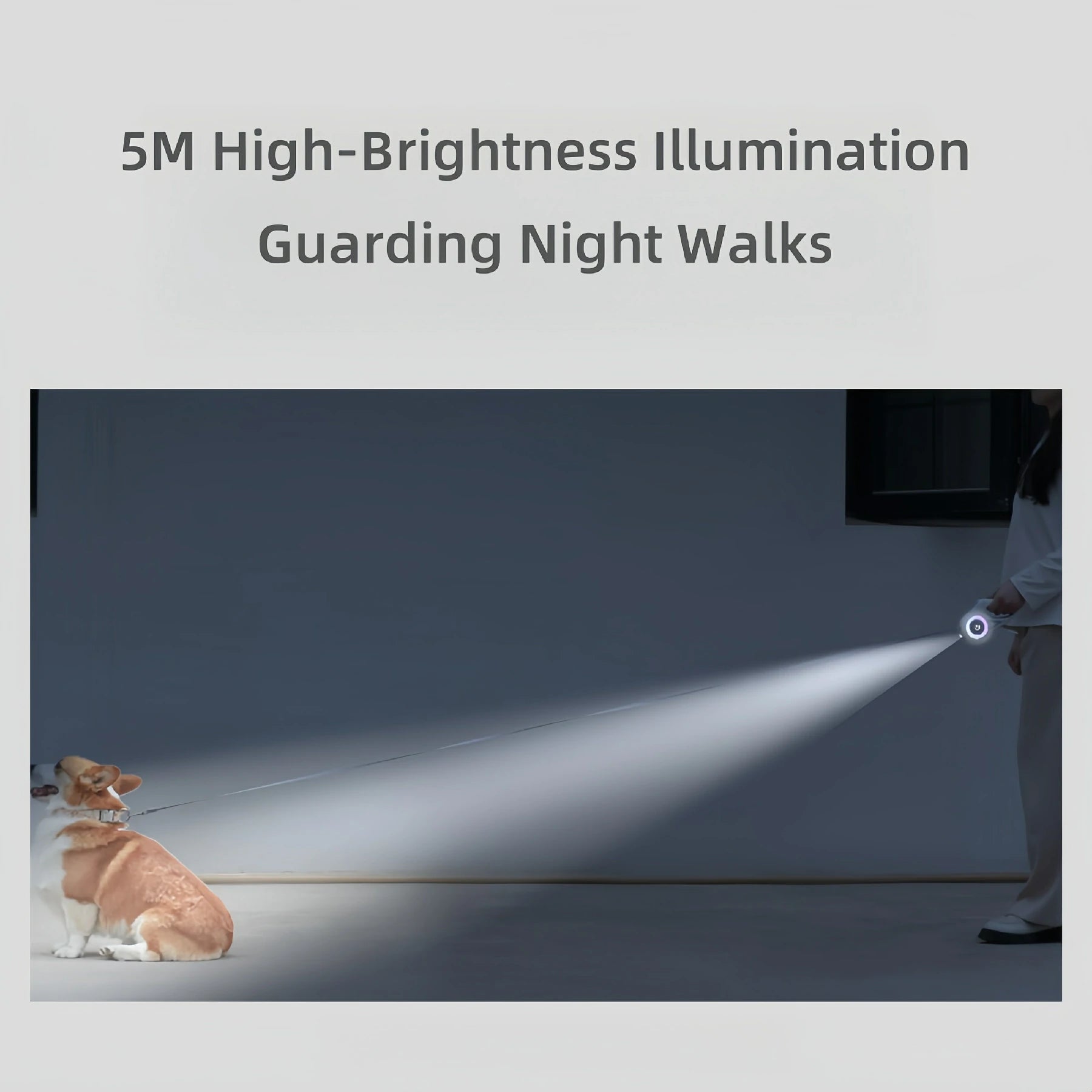 Glowing Retractable Leash