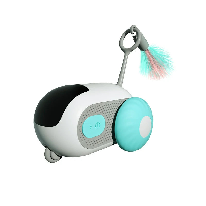 Remote Cat Car