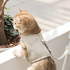 Cat Harness