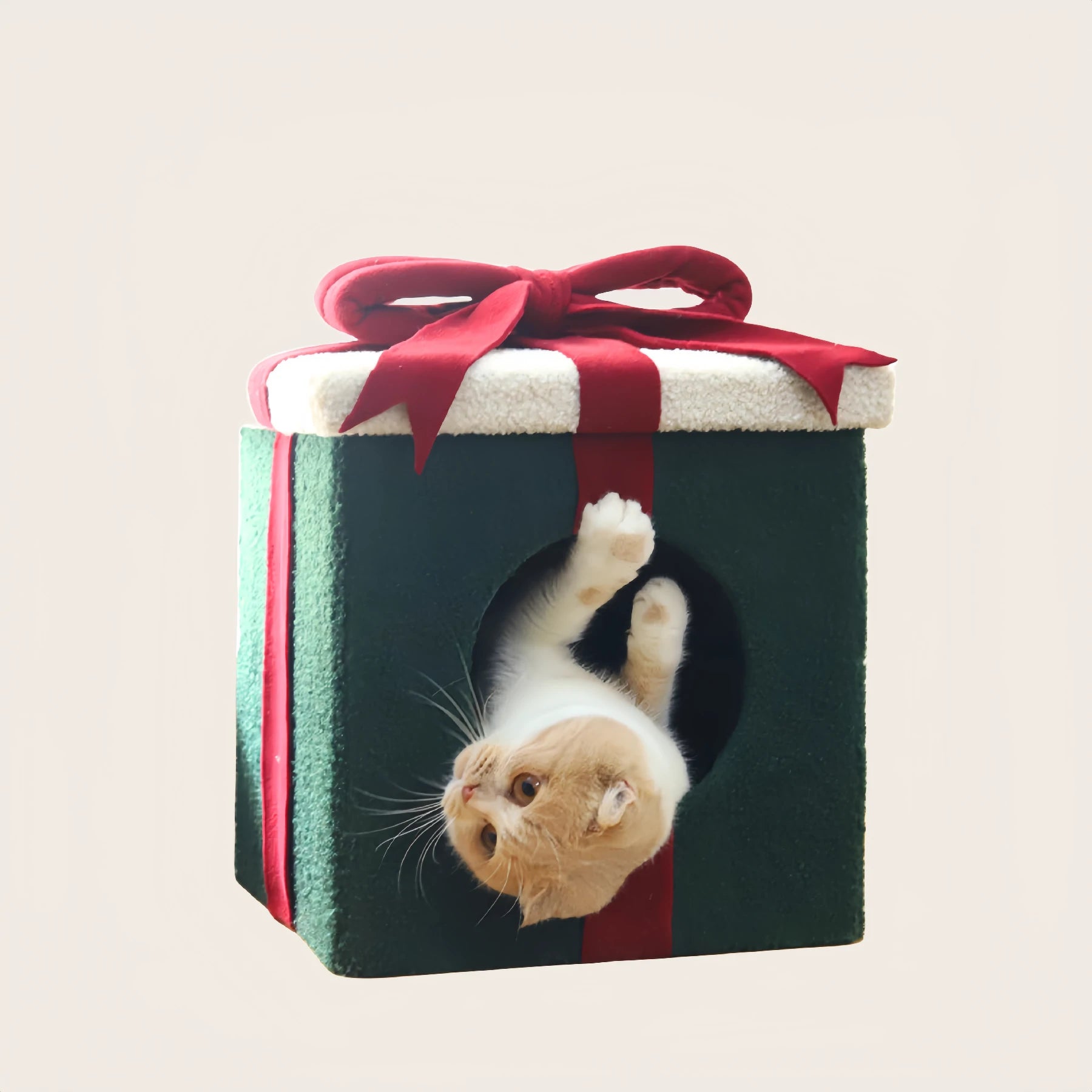 Gift Box Cat House