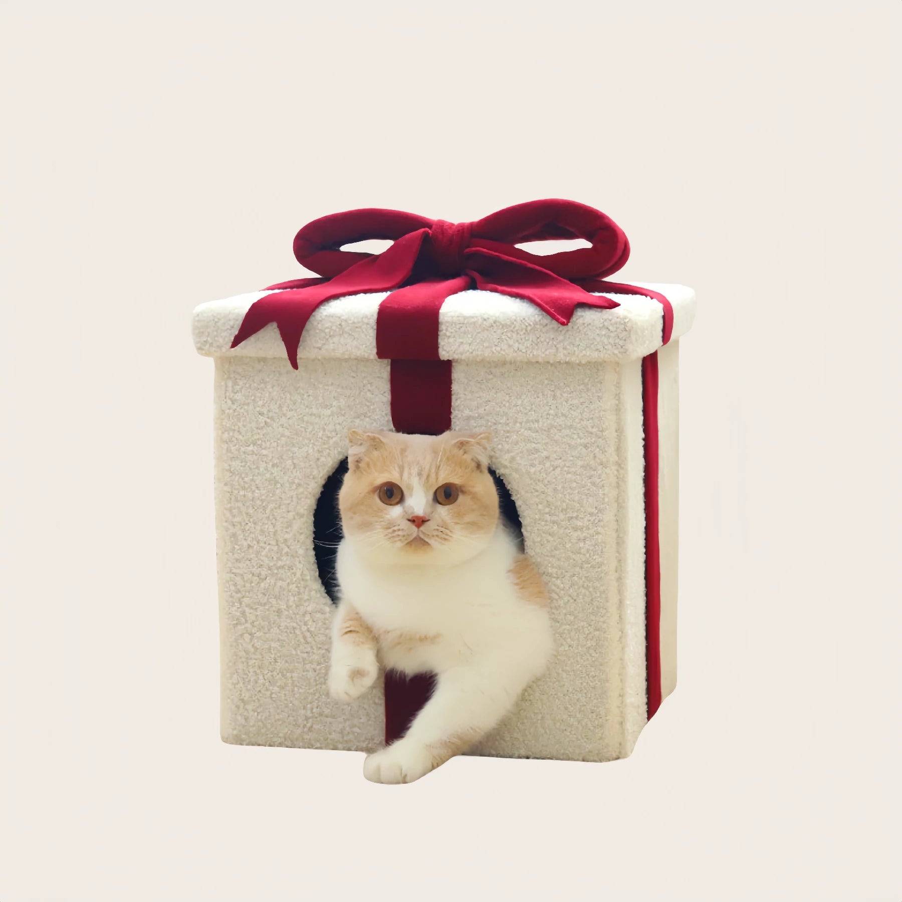 Gift Box Cat House
