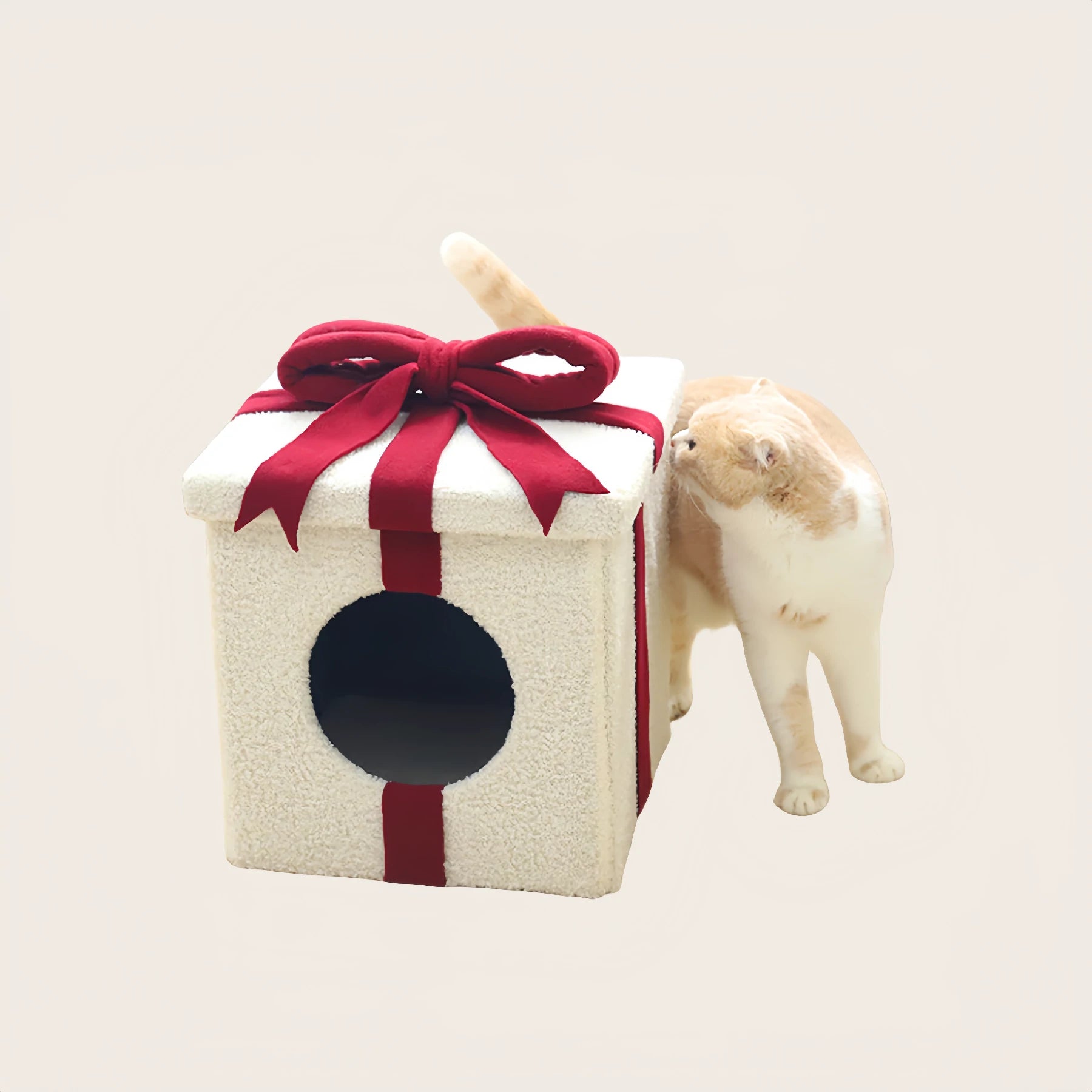 Gift Box Cat House