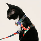 Cat Leash