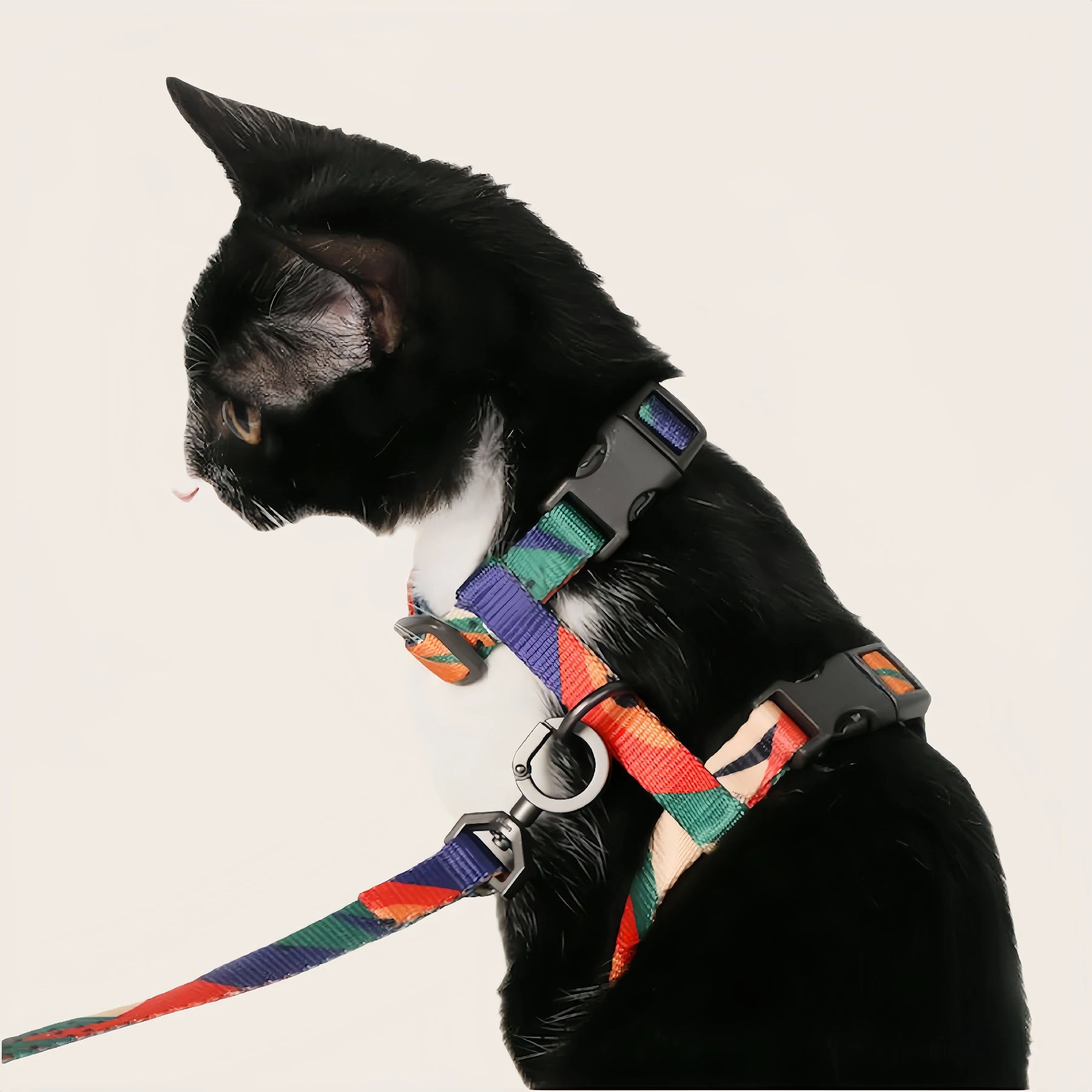 Cat Leash Main image