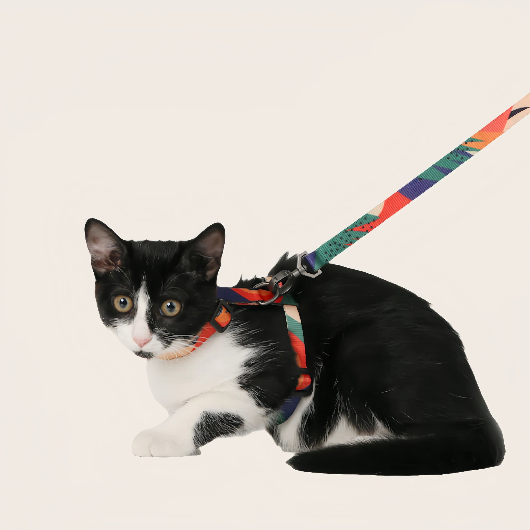 Cat Leash