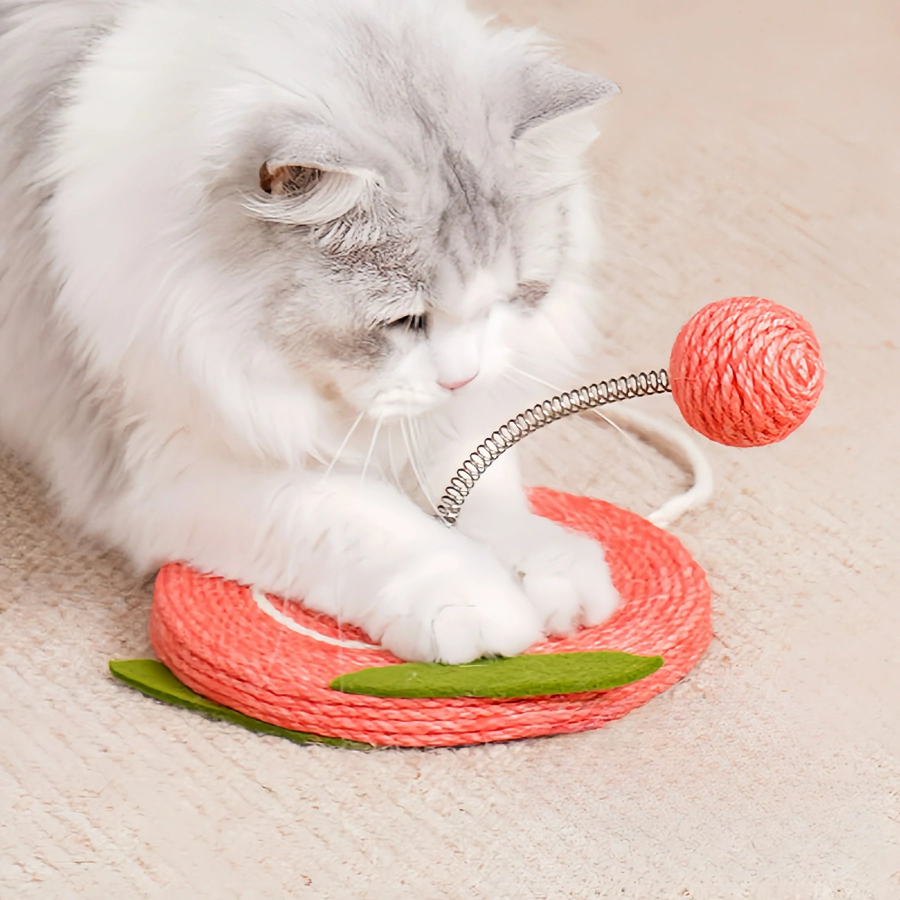 Fruit Scratcher Cat Toy