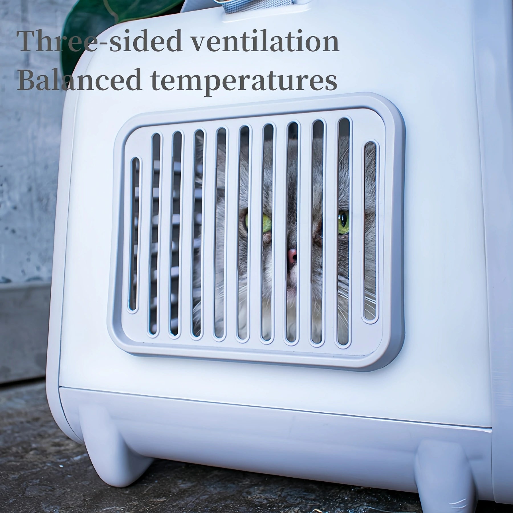 Hard-Sided Kennel