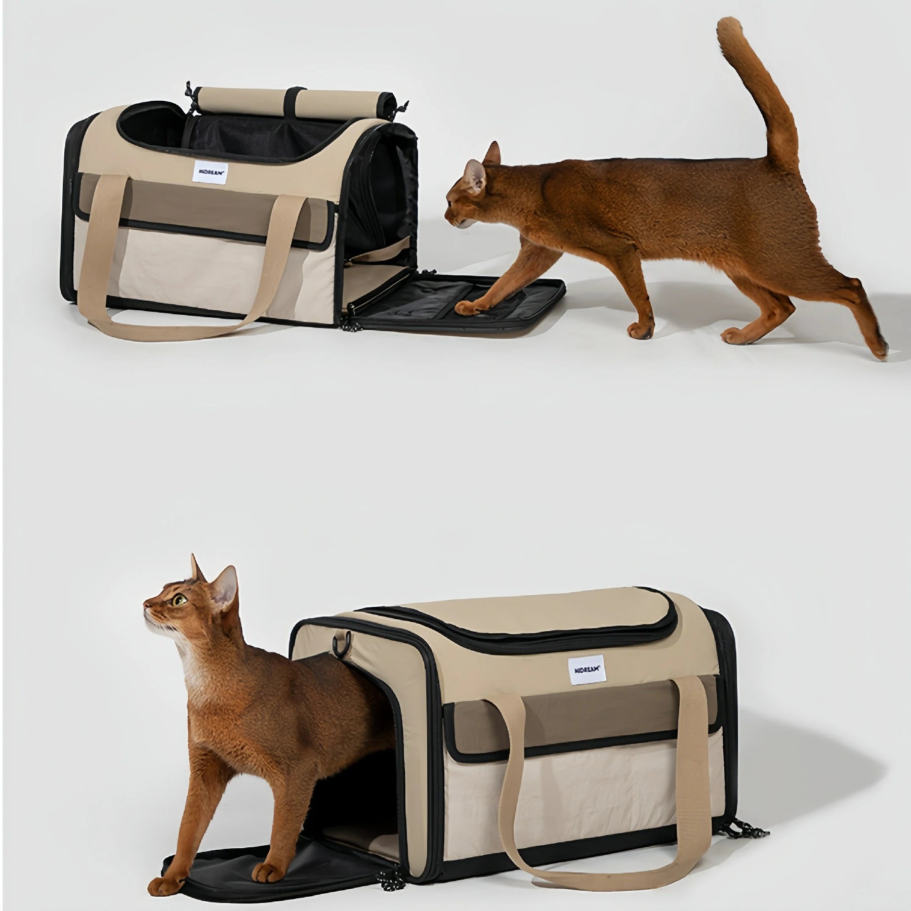 Airline Approved Carrier