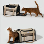Airline Approved Carrier