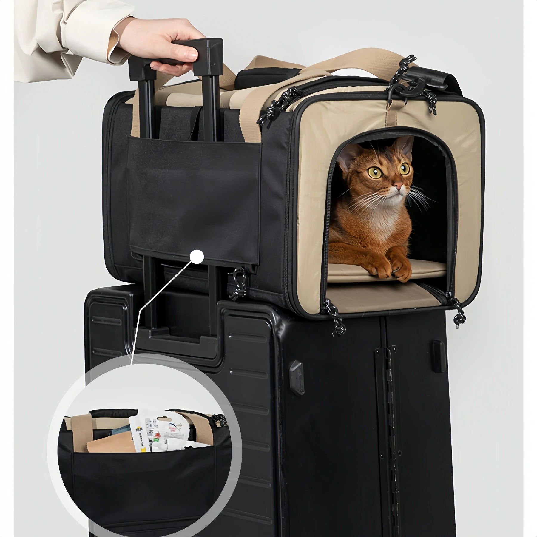 Airline Approved Carrier