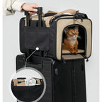 Airline Approved Carrier