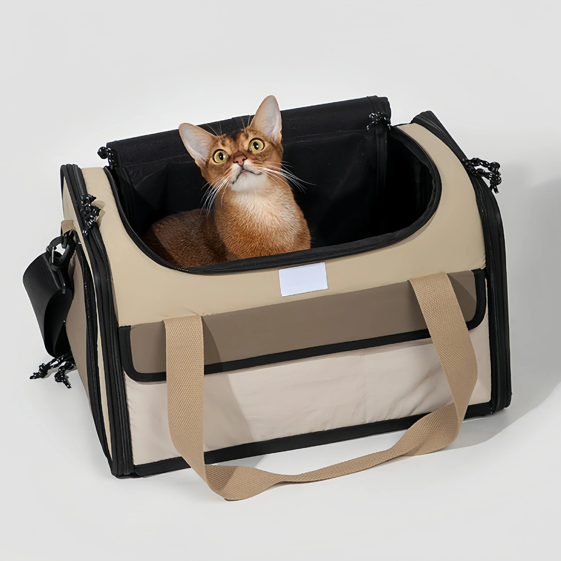 Airline Approved Carrier