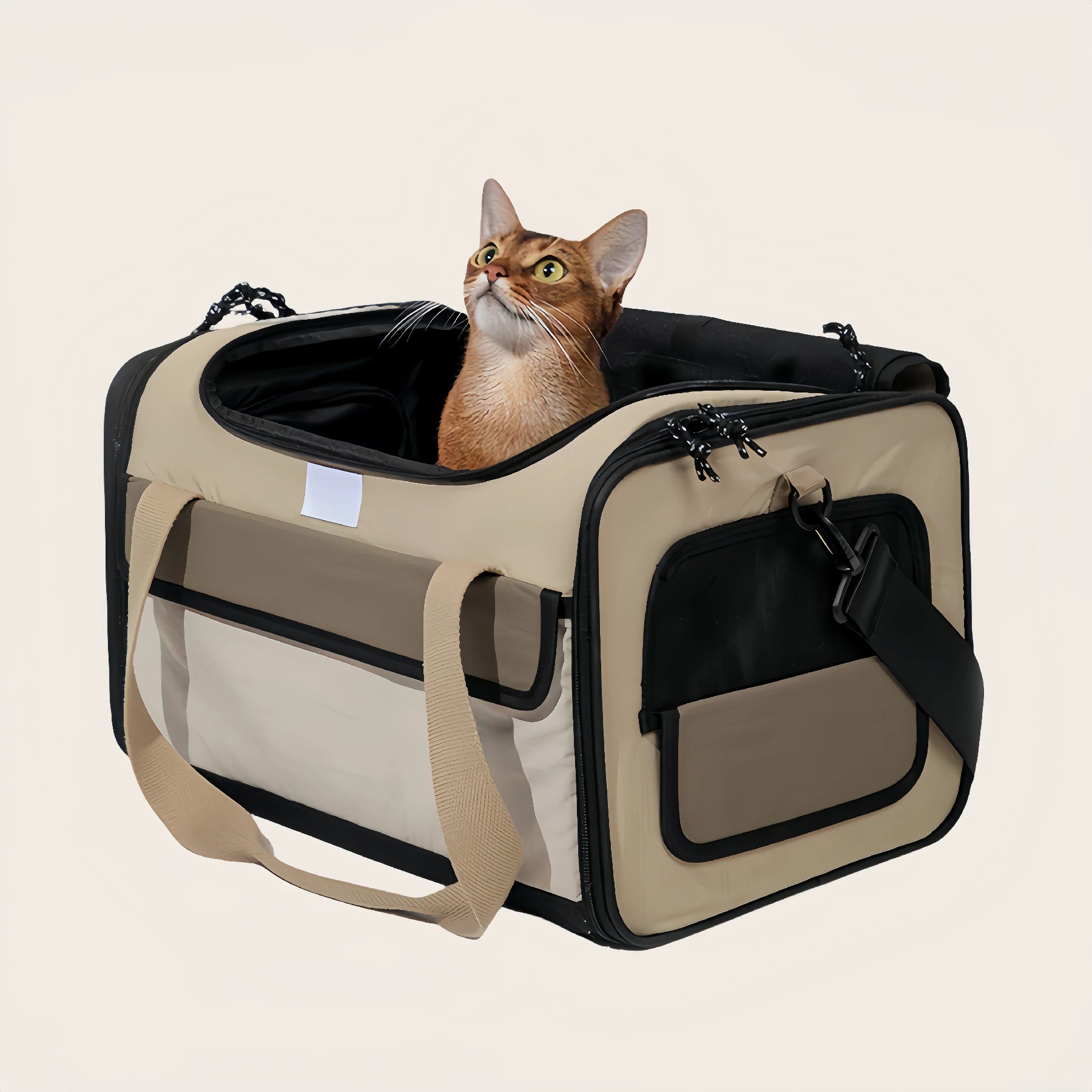 Airline Approved Carrier