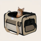 Airline Approved Carrier