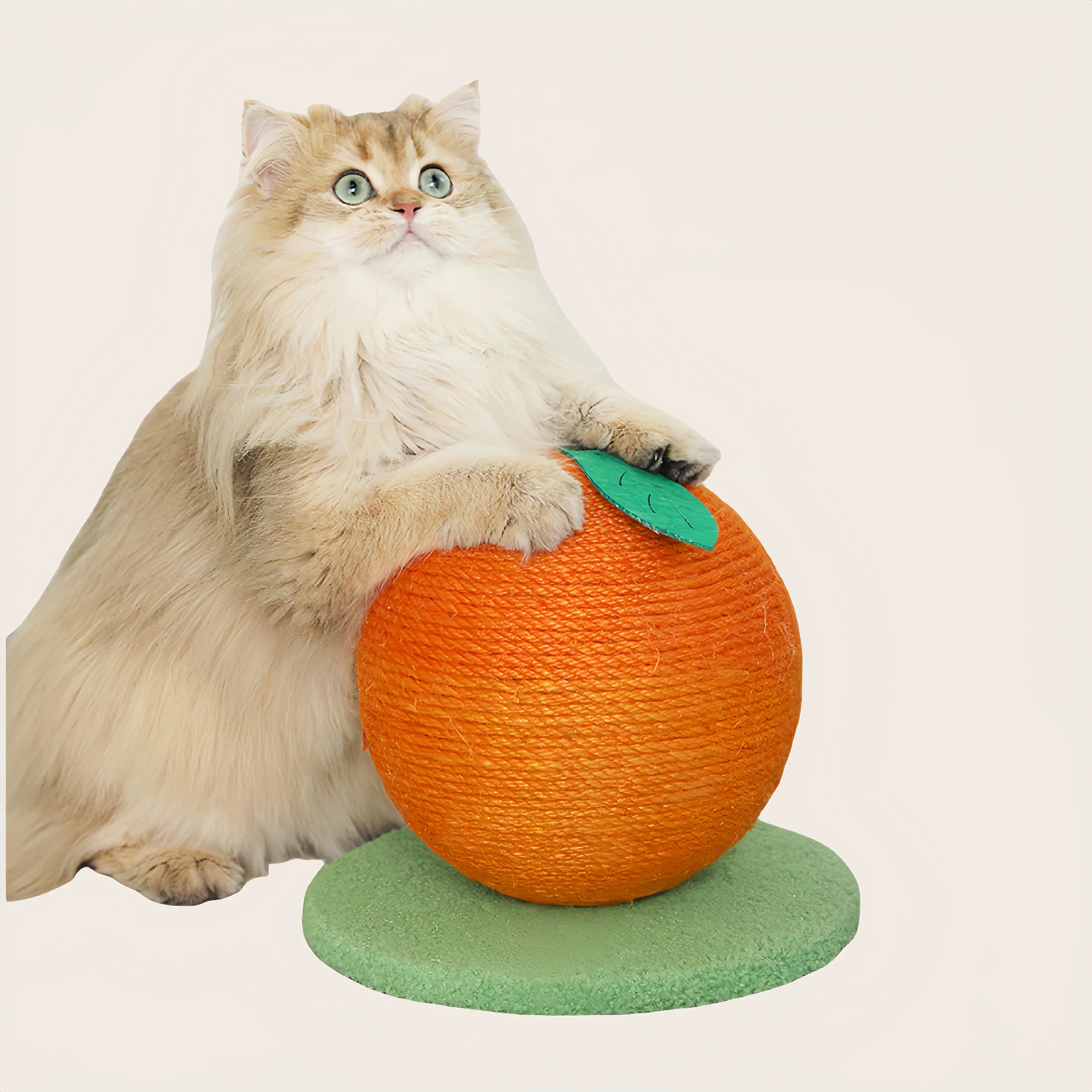 Fruit Scratching Post Main image