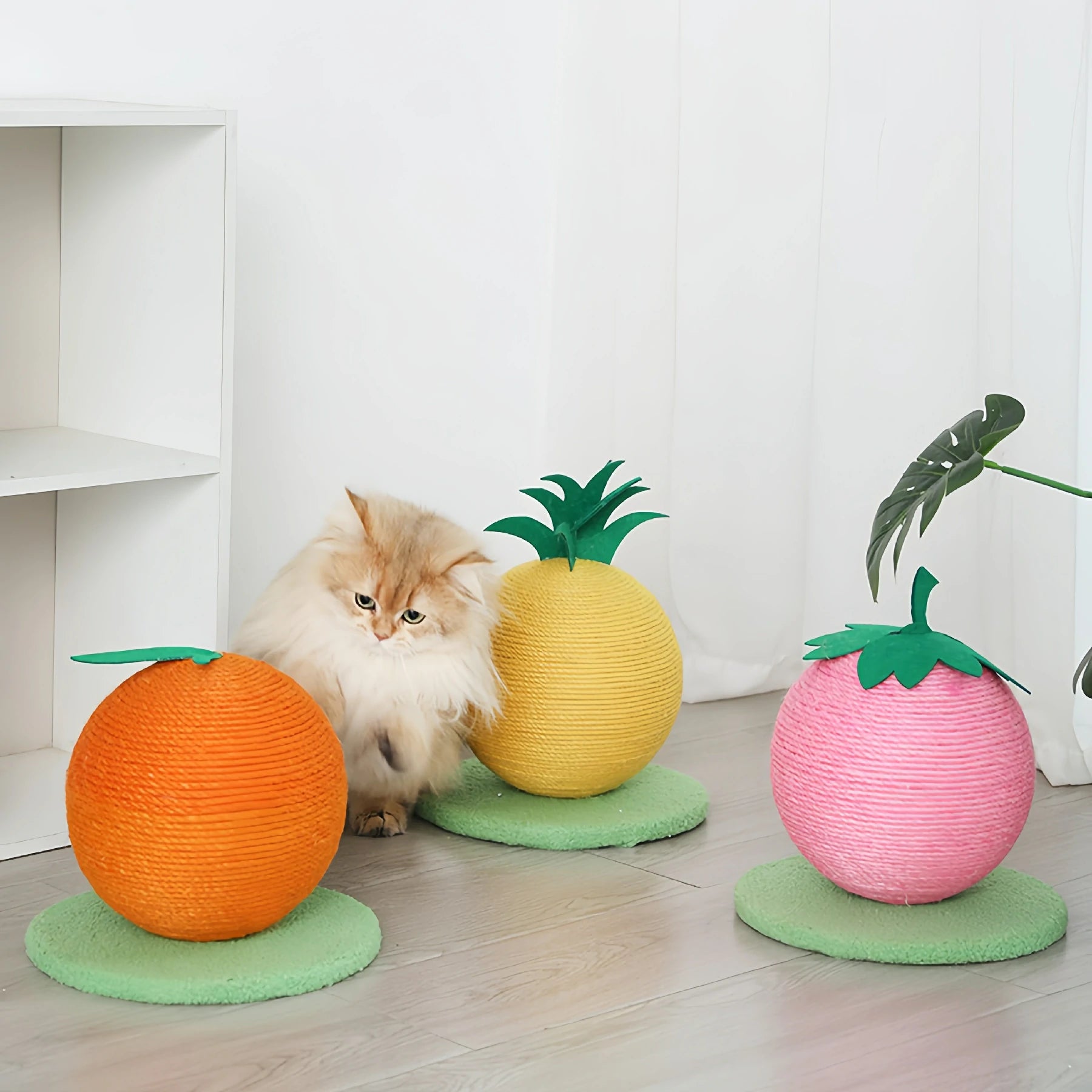 Fruit Scratching Post