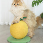 Fruit Scratching Post