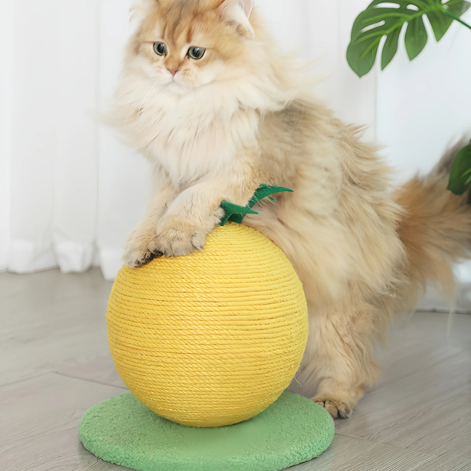 Fruit Scratching Post