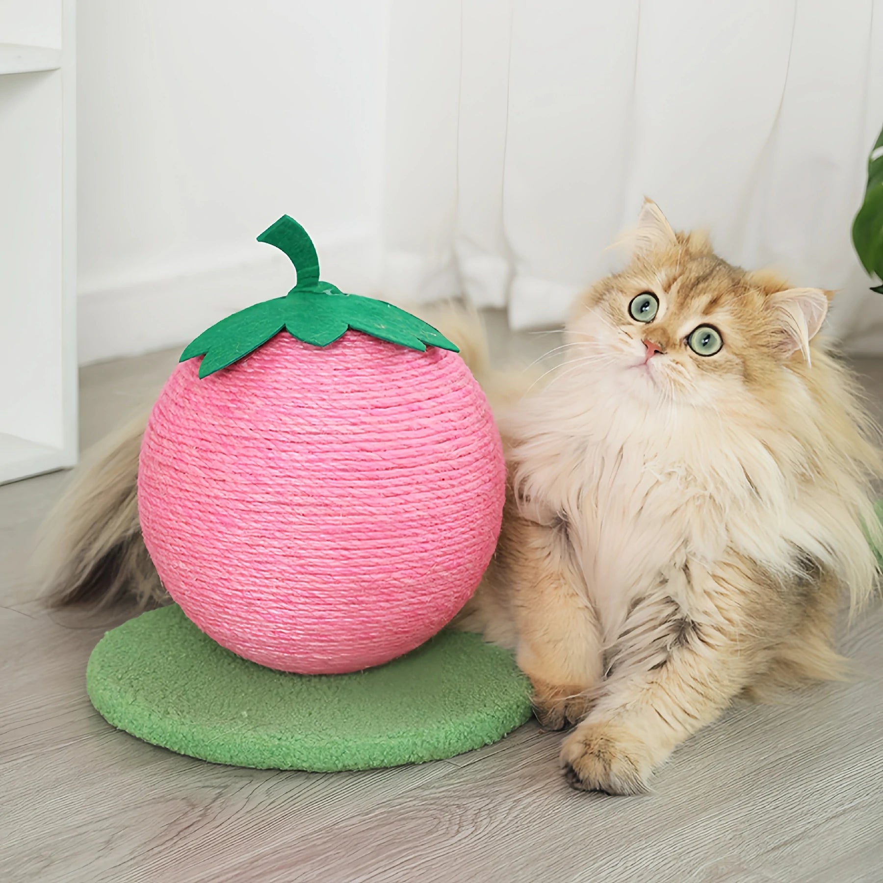 Fruit Scratching Post