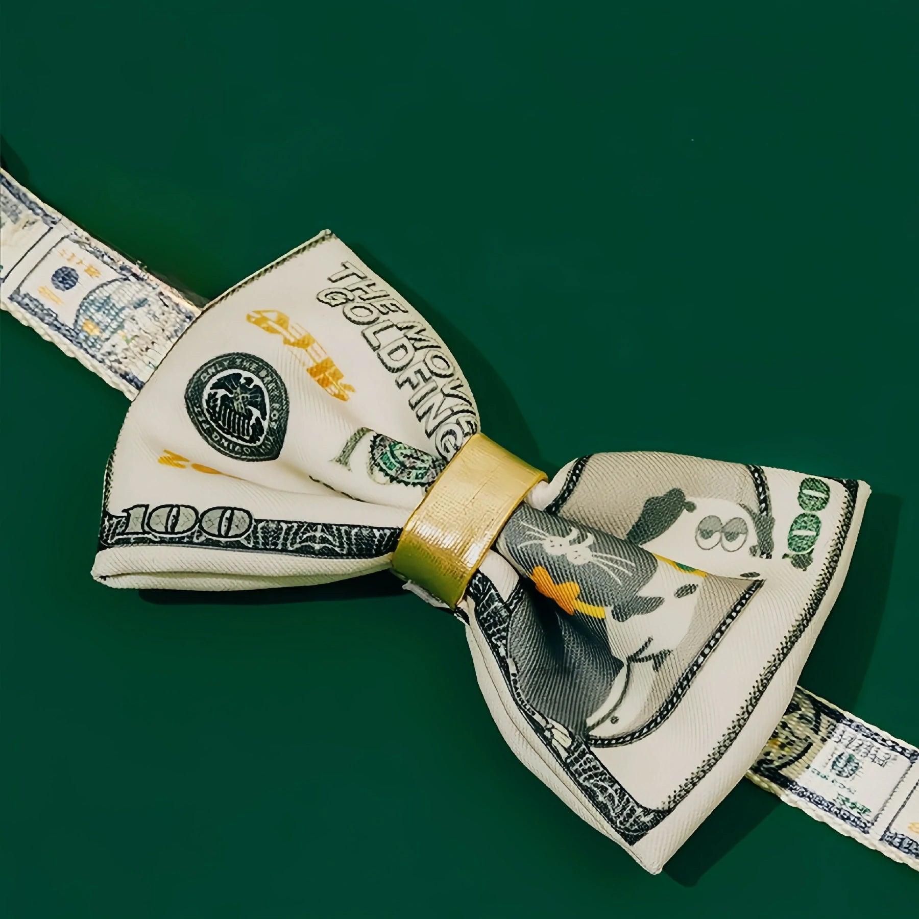 Dollar Tie Collar