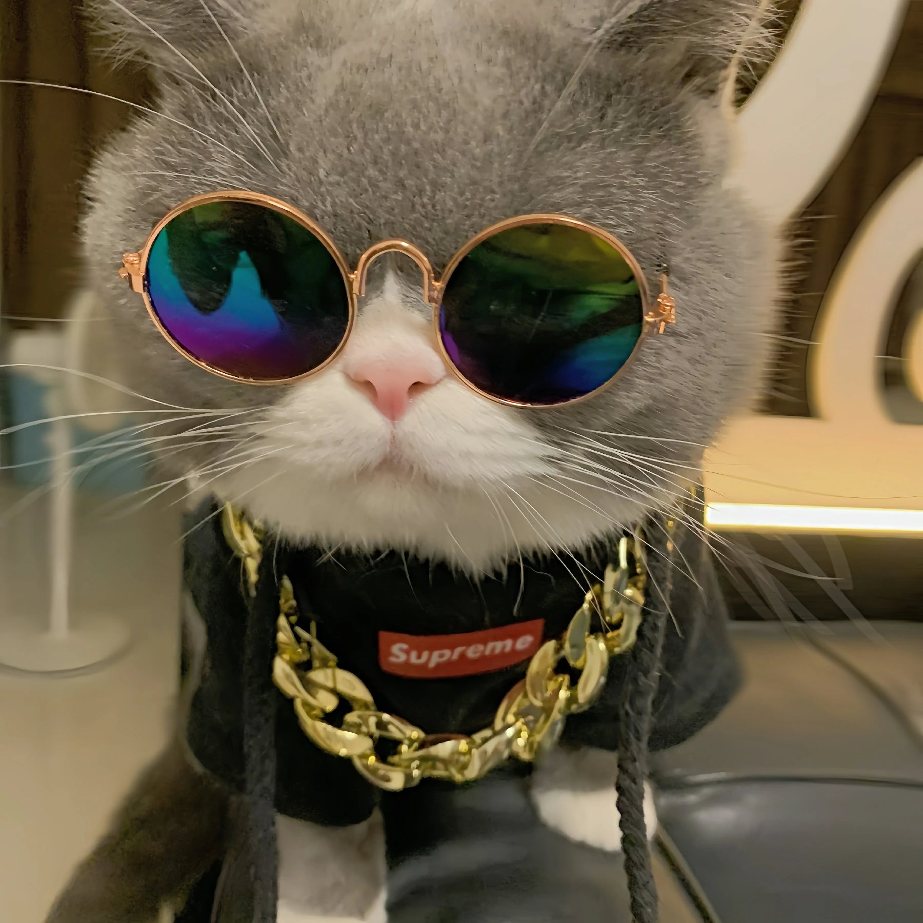 Sunglasses + Necklace
