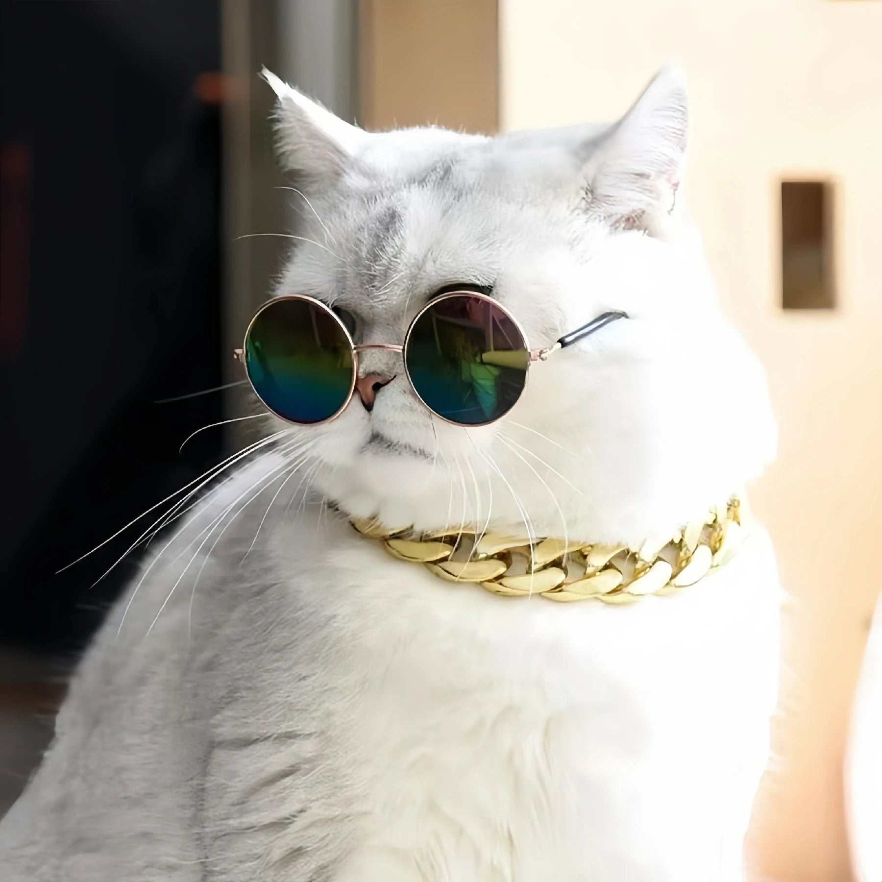 Sunglasses + Necklace