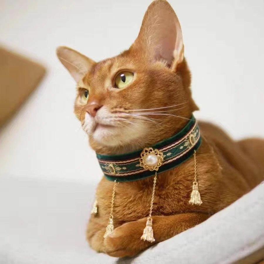 Collar