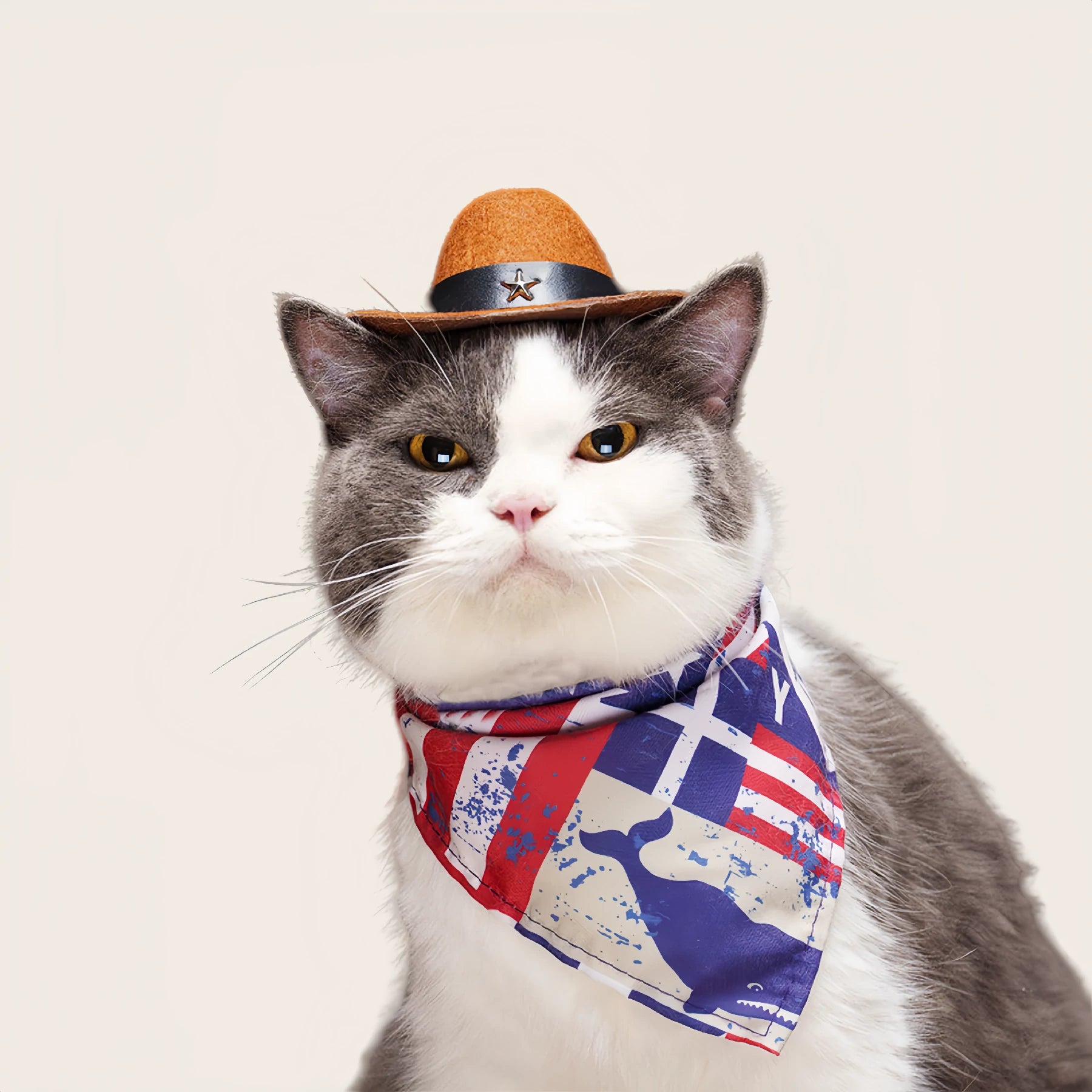 Cowboy Costume