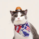 Cowboy Costume