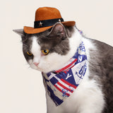 Cowboy Costume