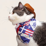 Cowboy Costume