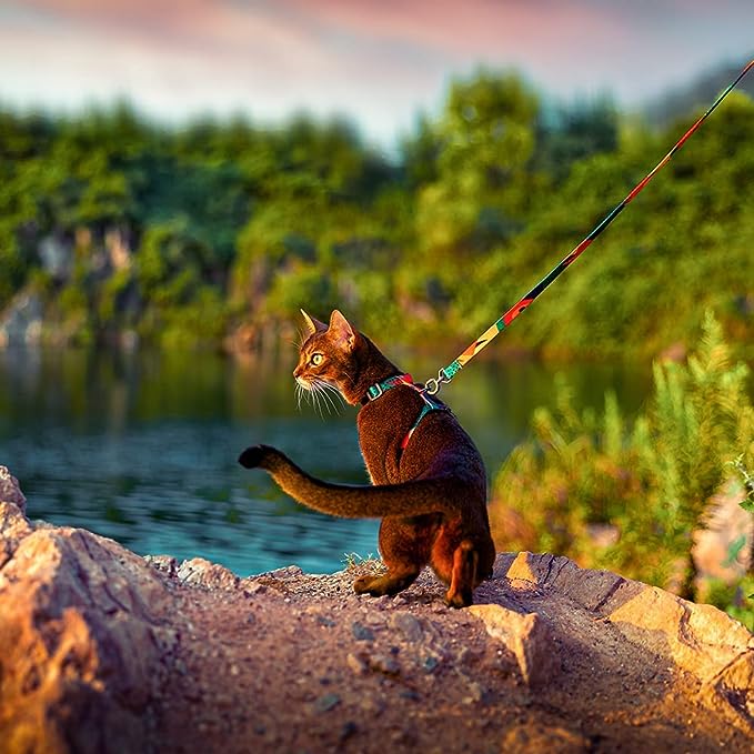 Cat Leash
