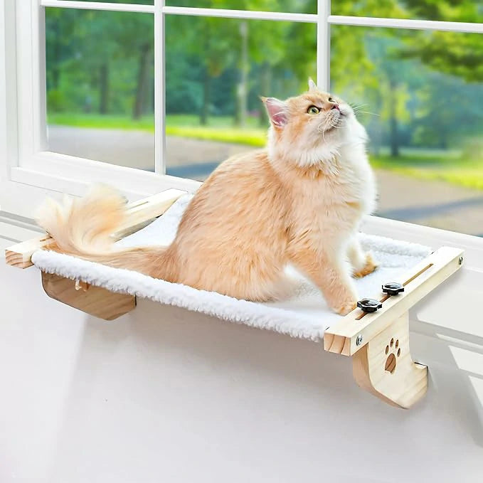 Cat Hammock Main image
